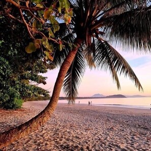 Enjoy a serene beach experience with a palm tree-lined shore and calm sea.