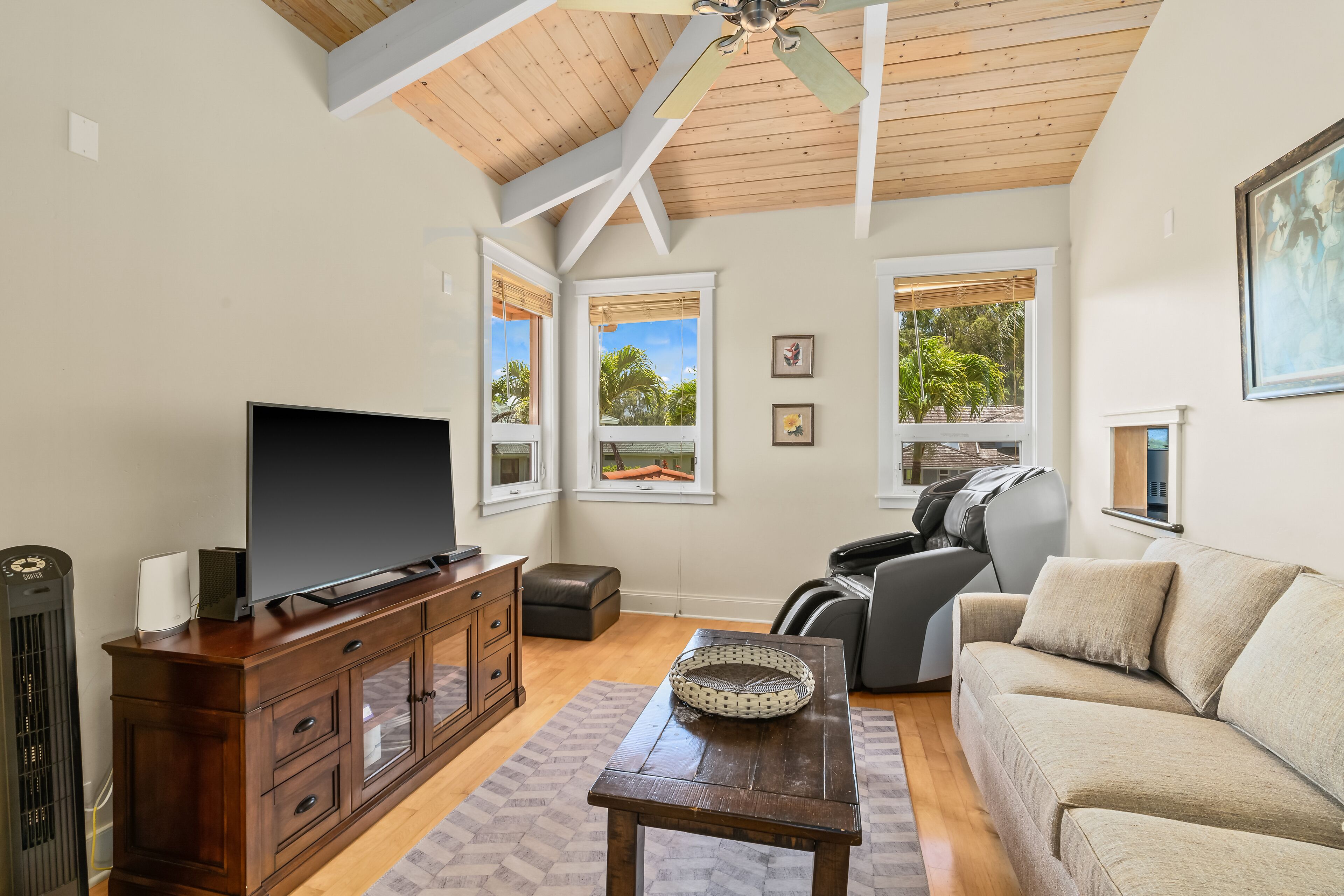 Smart TV, fireplace, DVD player, books