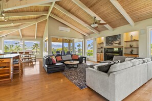 TV connectée, cheminée, lecteur de DVD, livres