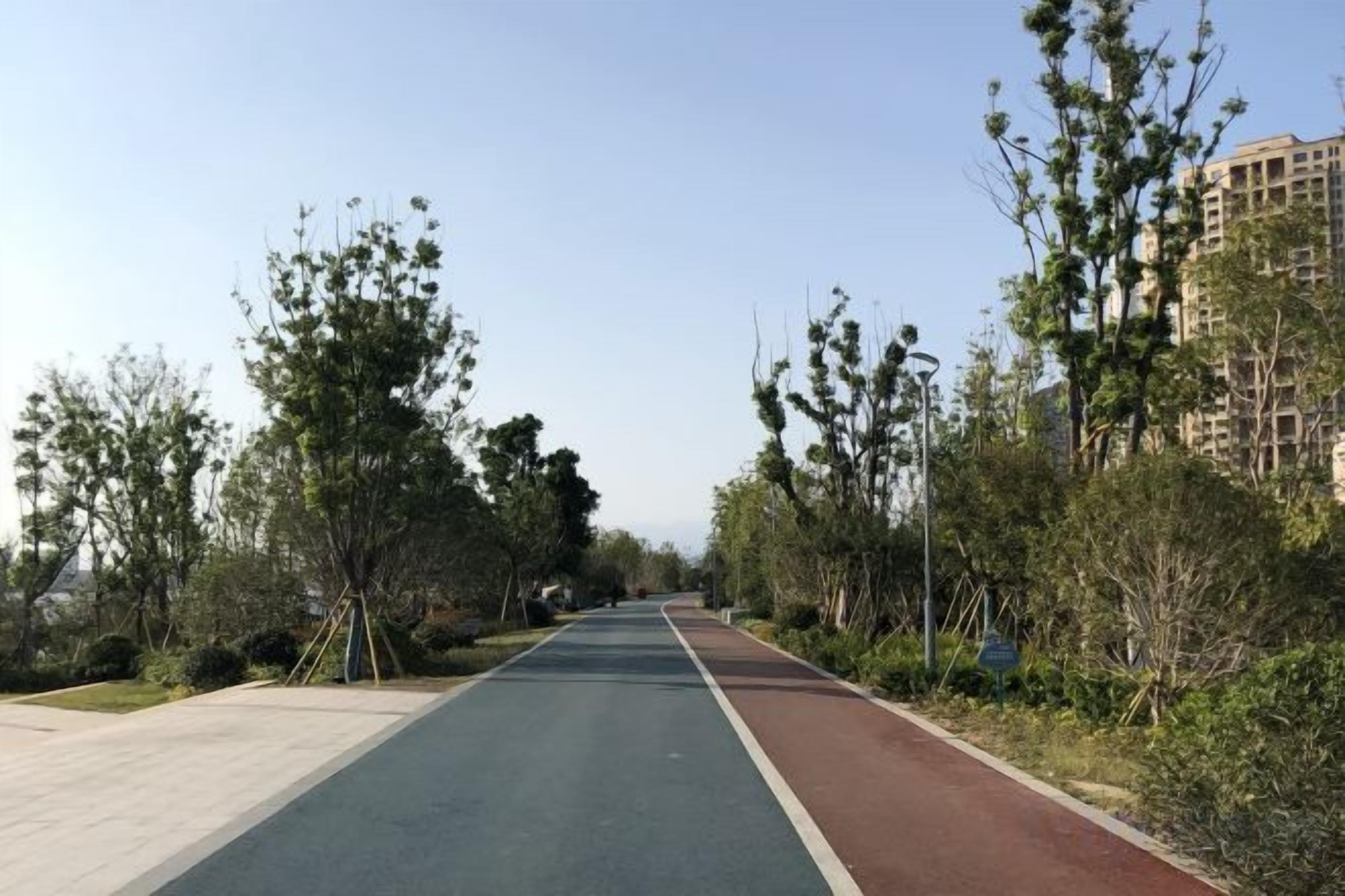 A pathway with a green and red running track, flanked by trees and shrubs, leading towards a building.
