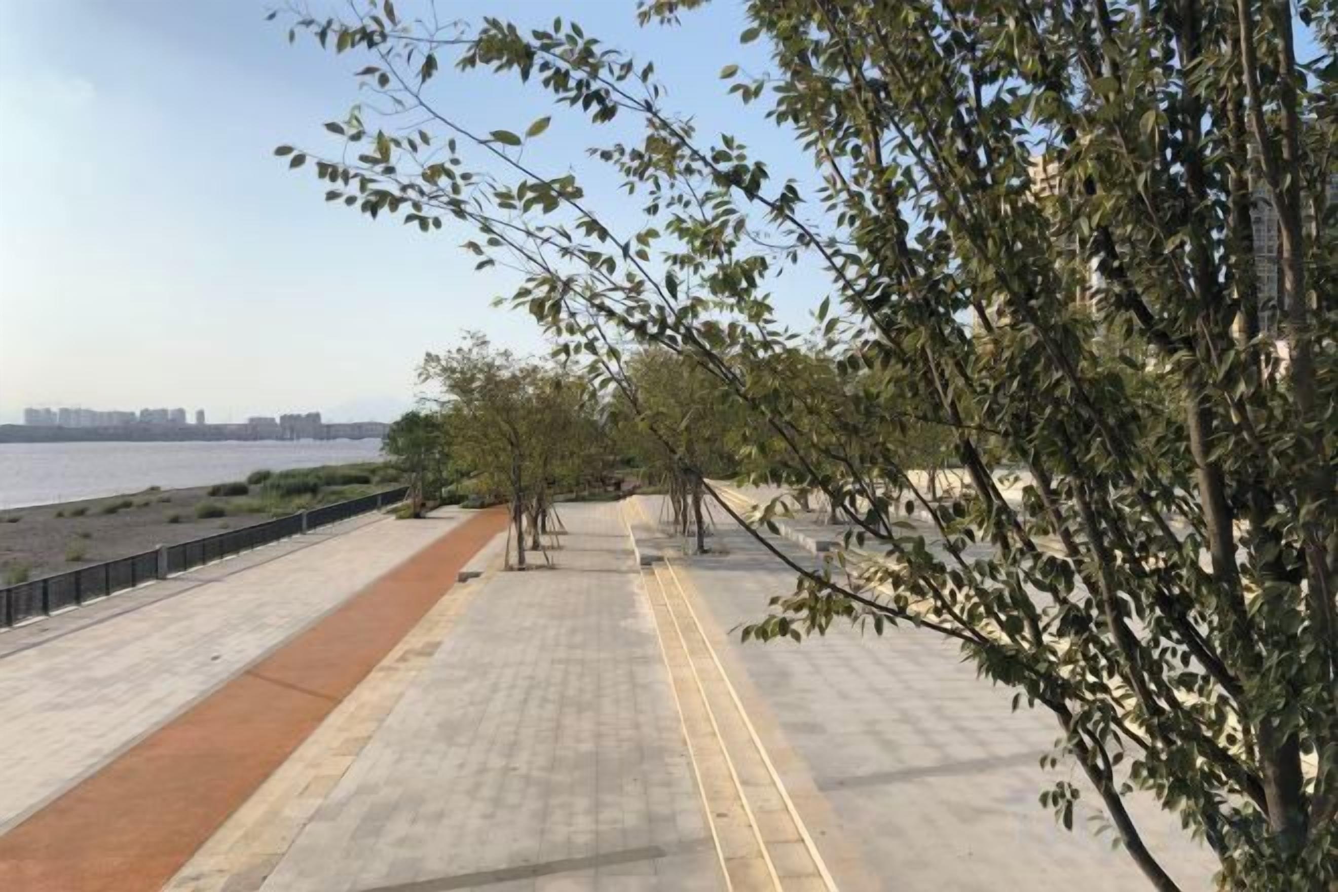 A paved walkway with trees and a view of the water.