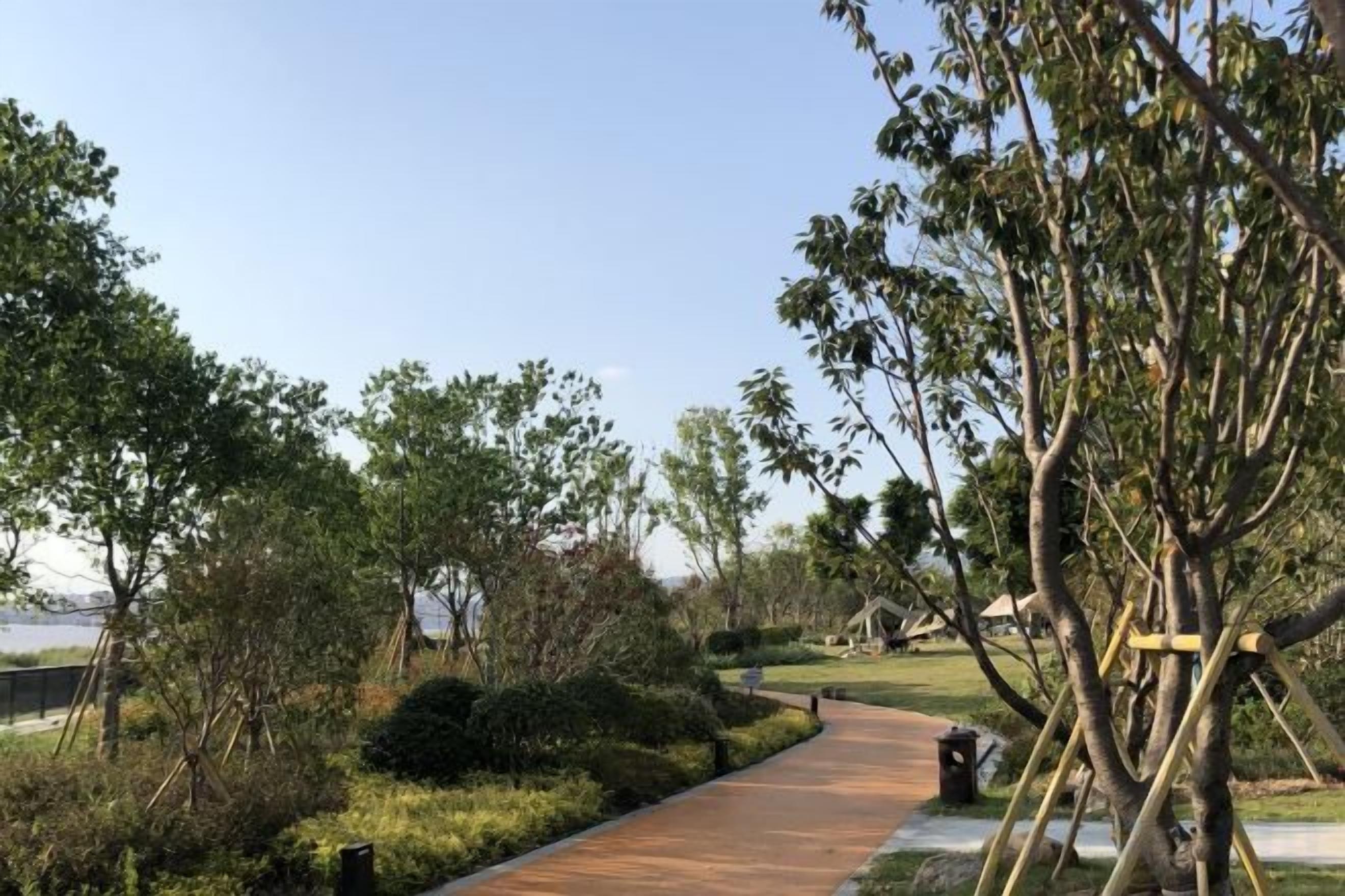 A pathway with trees and shrubs, leading towards a body of water.