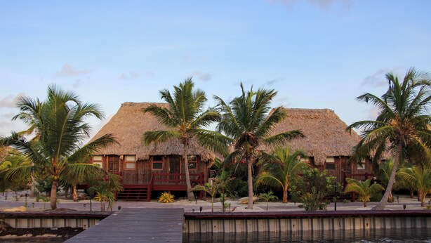 Un resort con edificios de techo de paja, un muelle de madera y palmeras.