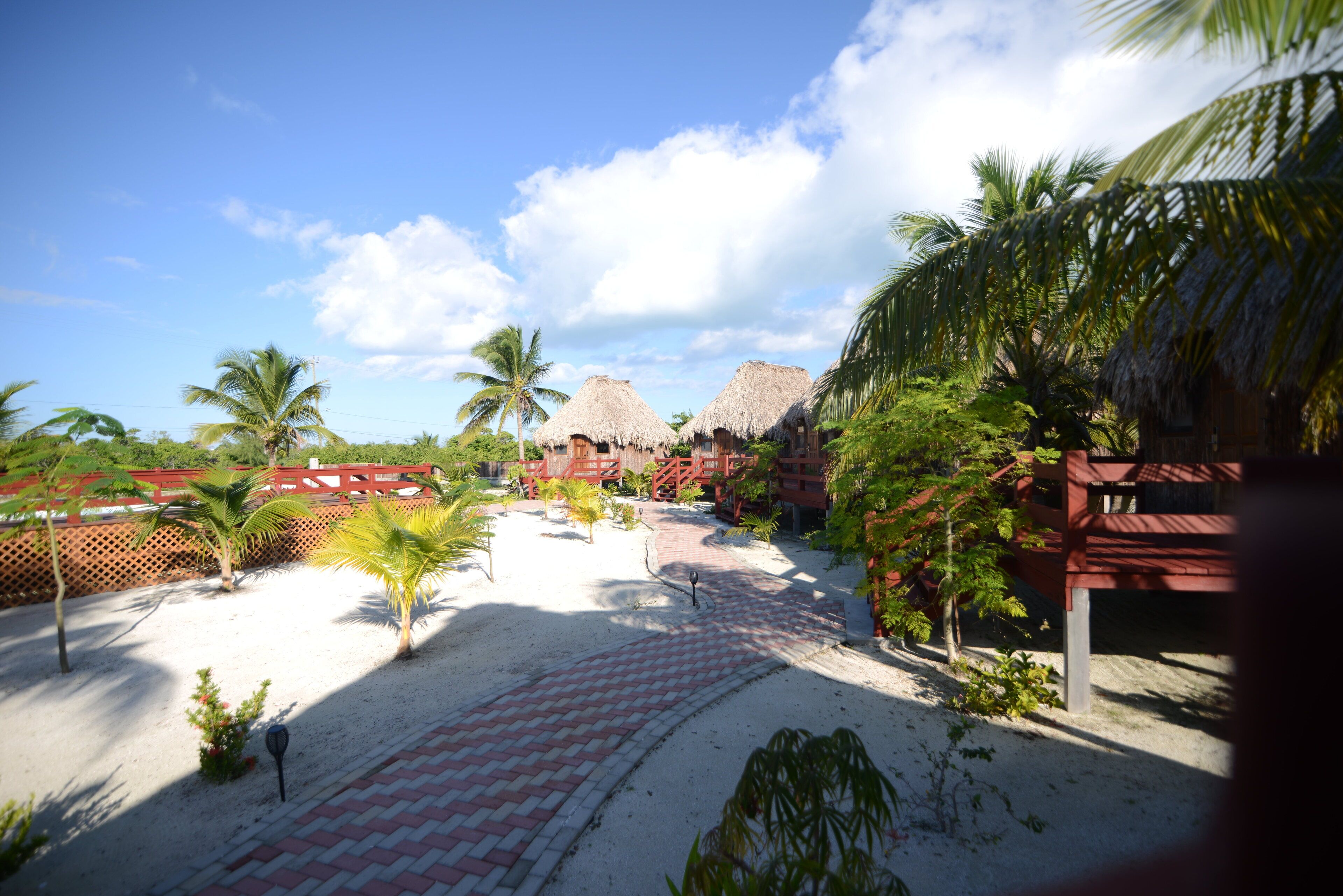 Deluxe Single Room, 1 King Bed, Garden View | Garden view