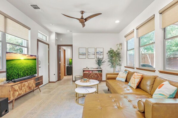 Smart TV, stereo, computer monitors