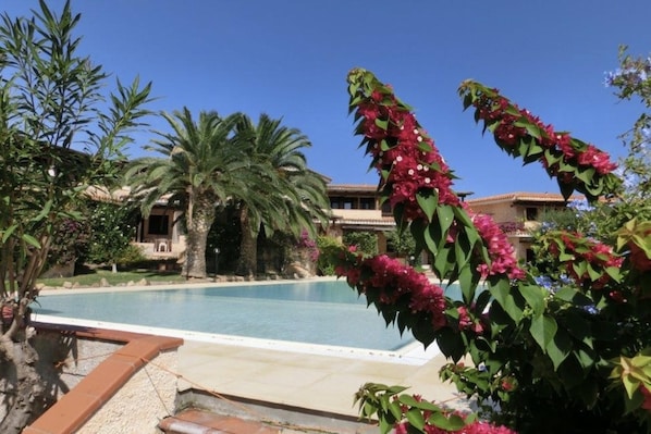 Seasonal outdoor pool - Blue&green House With Shared Pool (Golfo Aranci)