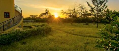 Standard Room | Garden view