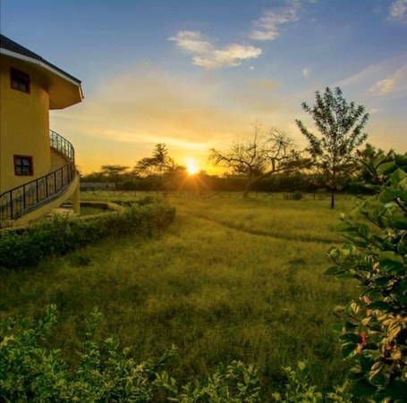 Standard Room | Garden view. Lomanira Splendour