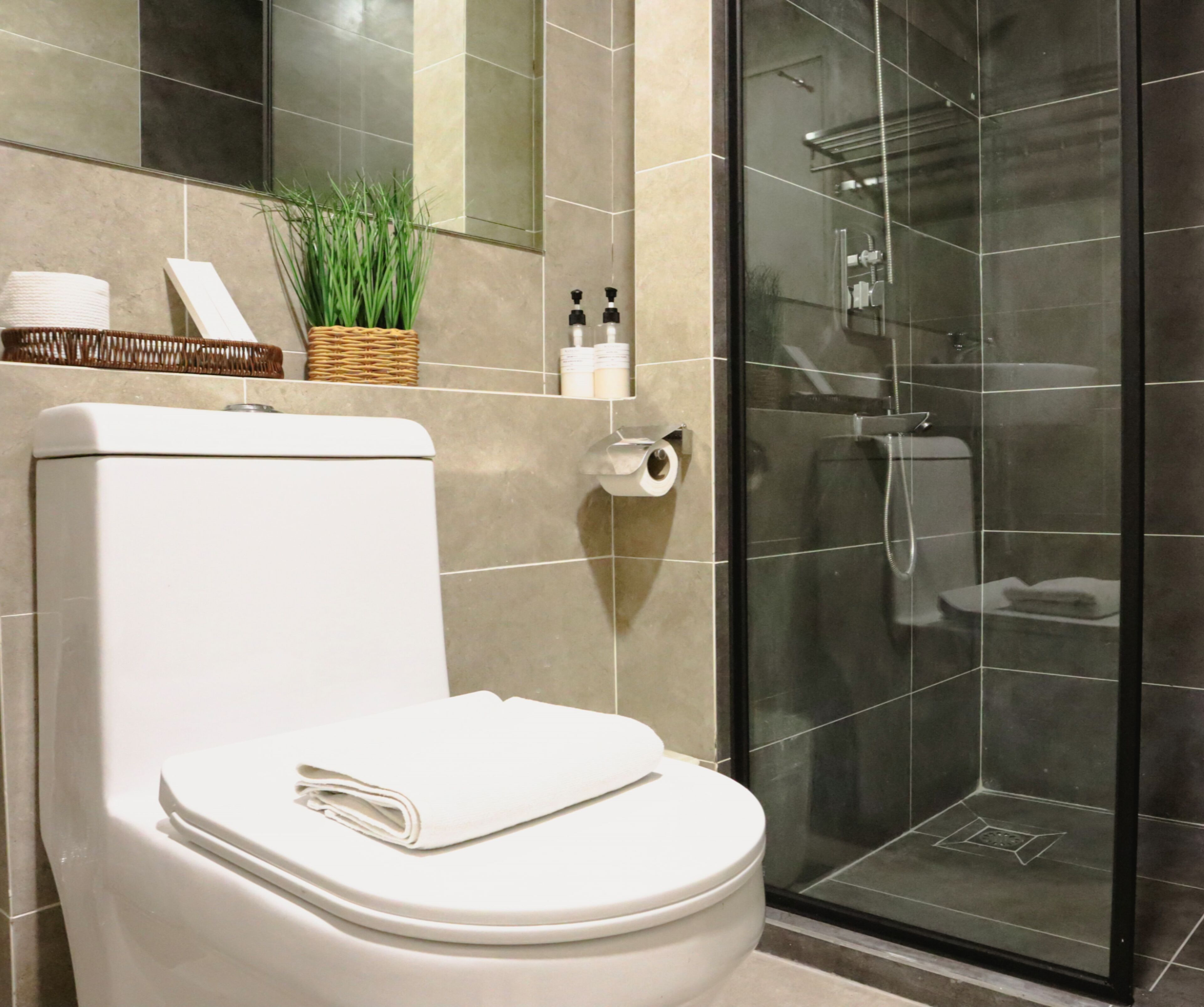 Un baño moderno con inodoro, cabina de ducha de vidrio y una planta pequeña en la pared.