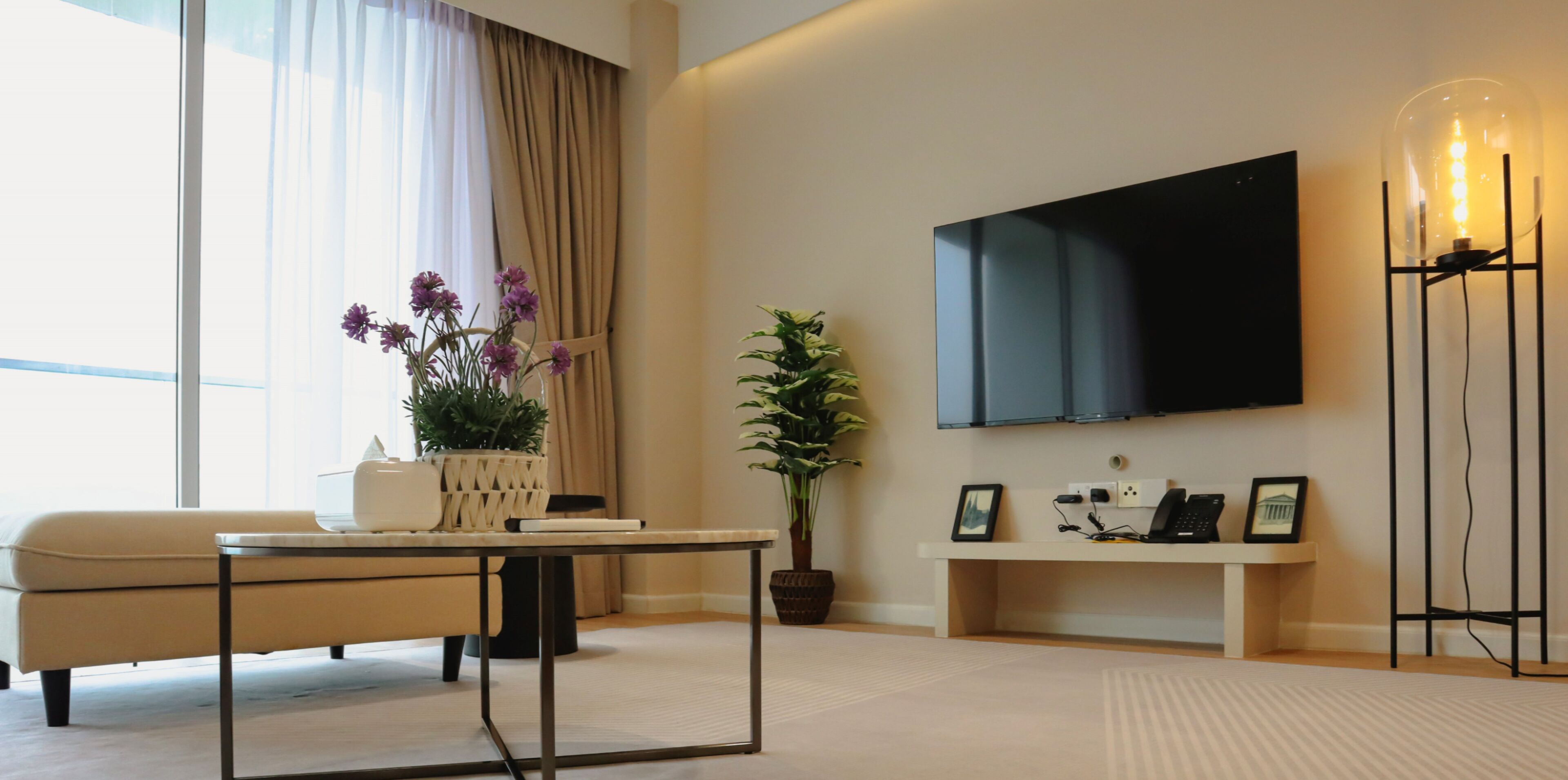 A modern living room with a sofa, a coffee table, a TV mounted on the wall, a potted plant, and a floor lamp.