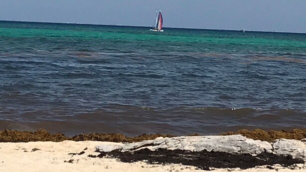 Una playa con agua turquesa cristalina y un velero a lo lejos.