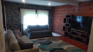 Un salon avec un mur en pierre, un mur en briques, un canapé gris, un canapé beige, un tapis à motifs et un meuble pour la télévision.
