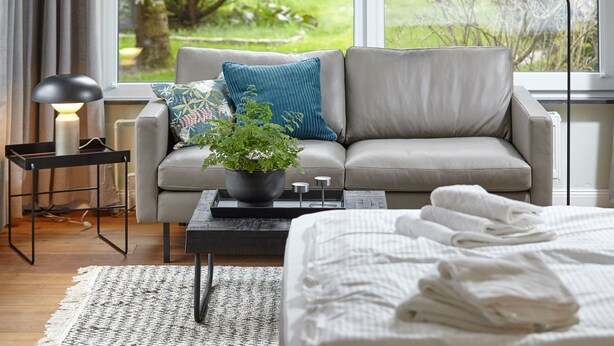 A modern bedroom with a grey sofa, a potted plant, a bedside table, and a lamp. - Strandpirat - Holiday apartment for two (Sankt Peter-Ording)