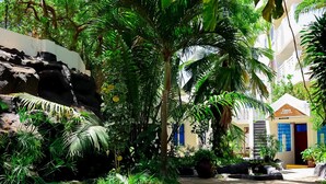 Un patio con pared de piedra, palmeras y un edificio con el rótulo 'Oasis'.