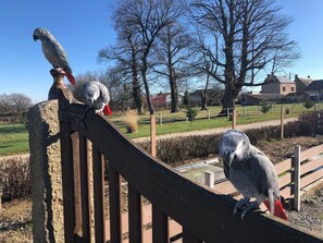 Terrein van de accommodatie