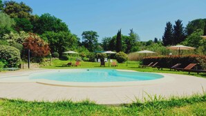 A swimming pool with lounge chairs and umbrellas, surrounded by greenery and trees. - Limoni Appartment (firenze)