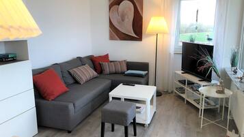 TV, DVD player, books