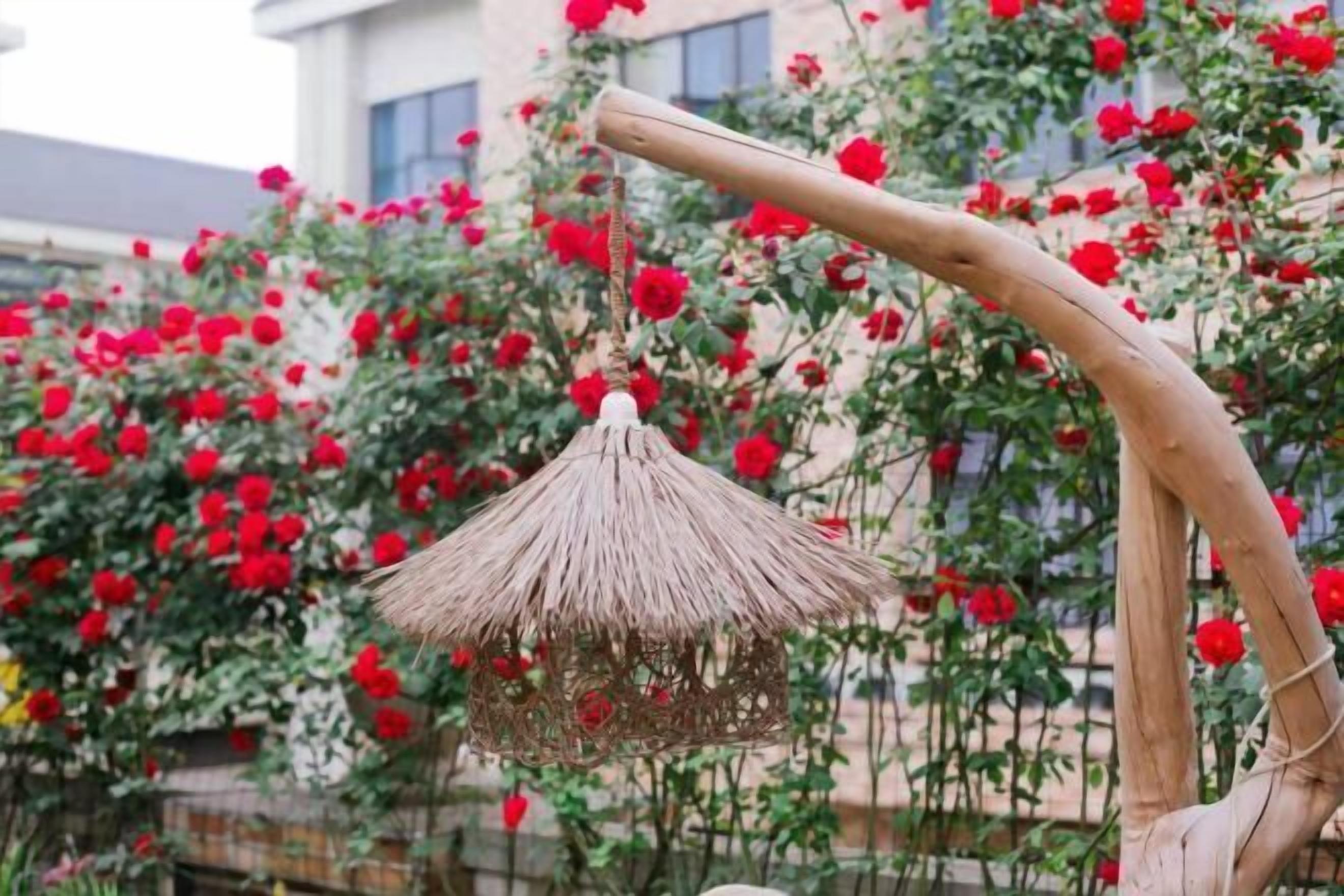 Un comedero para pájaros colgante hecho con materiales naturales, suspendido de una estructura de madera en medio de un jardín con flores rojas.