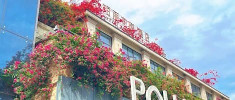 A hotel with a prominent 'POLHOTEL' sign, a brick facade, and red flowering vines.
