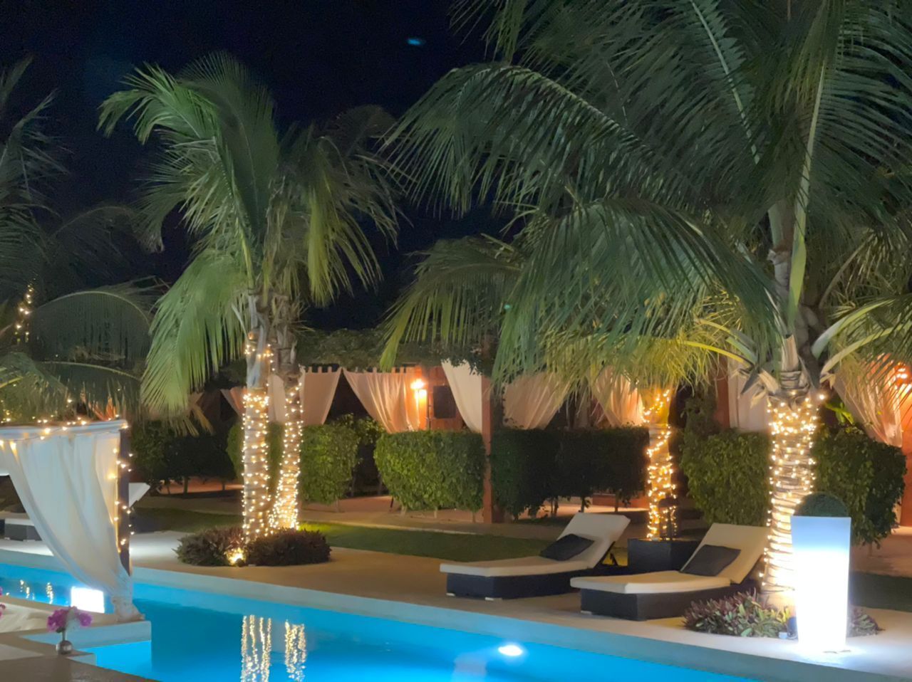 A pool area with lounge chairs and palm trees, surrounded by string lights and draped fabric.