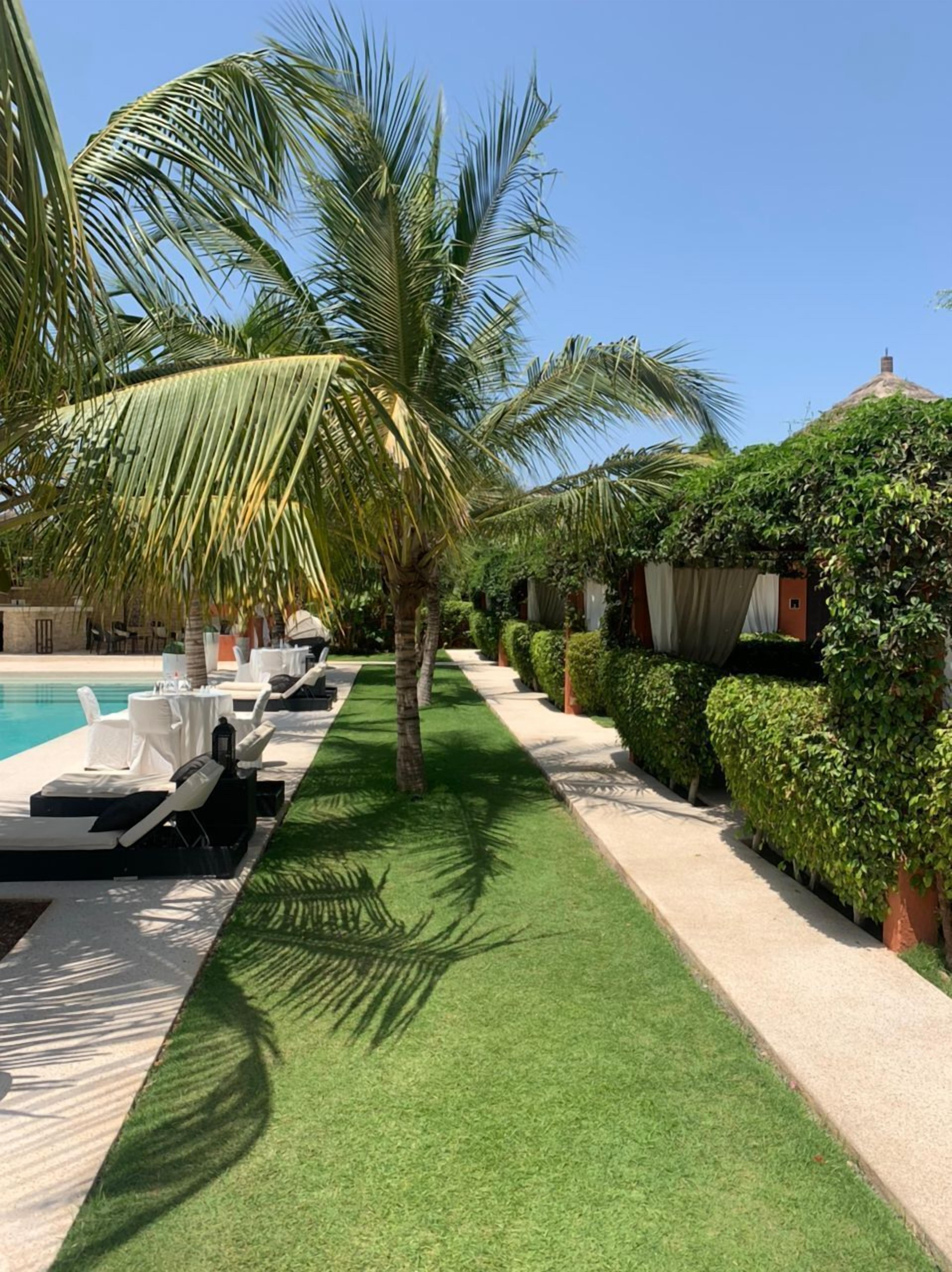 A poolside area with lounge chairs, palm trees, and a well-maintained hedge.