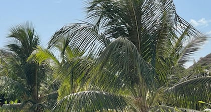 Villa Petit Paradis Boutique Hôtel