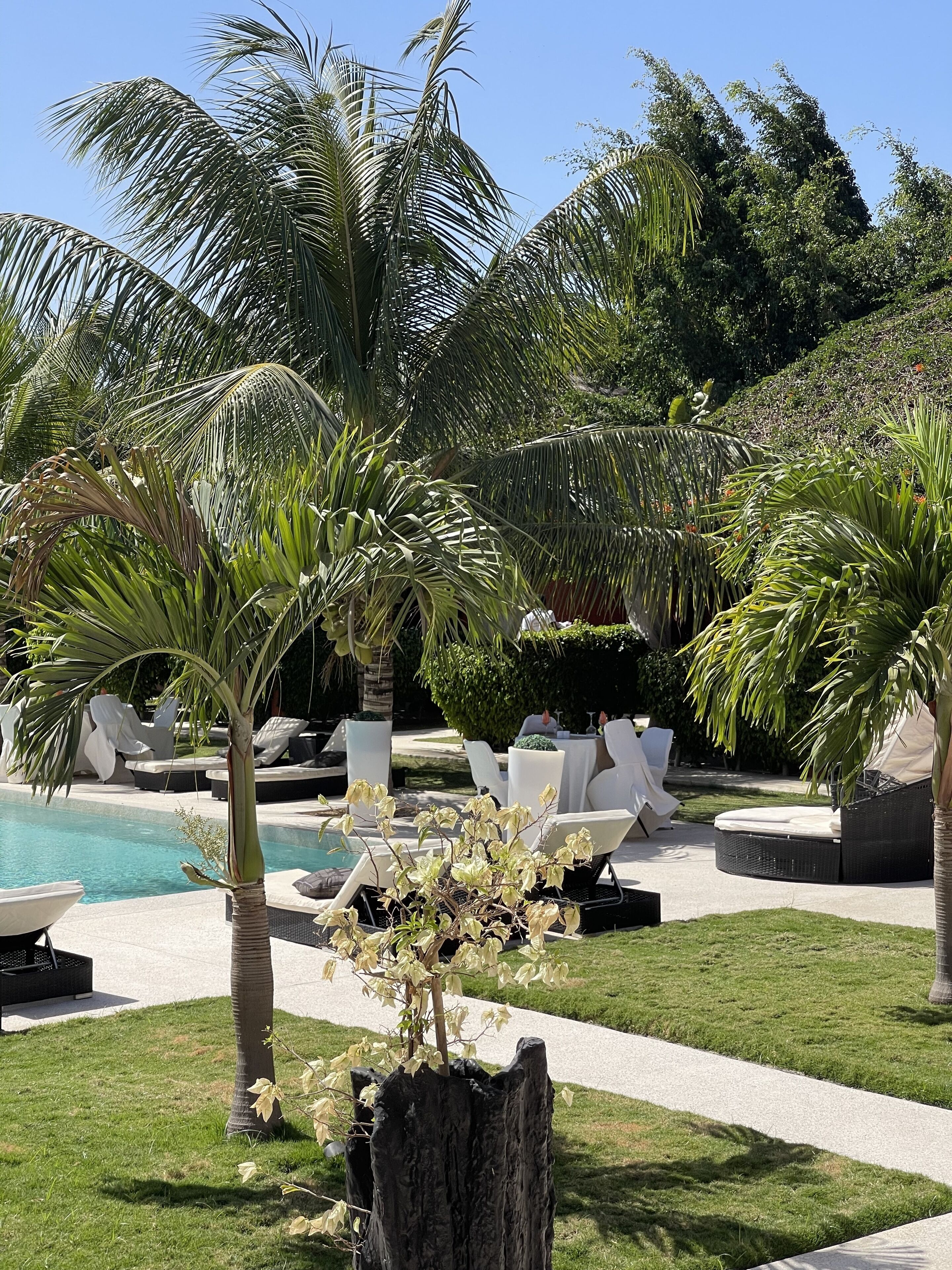 A poolside area with lounge chairs, a hot tub, and palm trees.