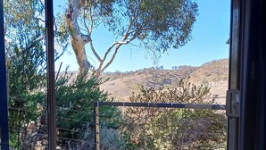 A view from inside a room with a large window overlooking a backyard with a tree, a fence, and a hilly landscape.