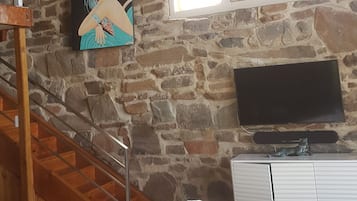 TV, fireplace, books