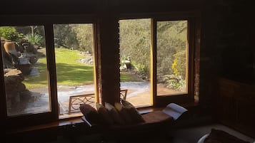 Televisión, chimenea y libros
