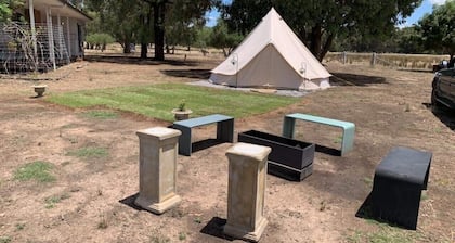 Glamping Tent in a farm with lots of pets