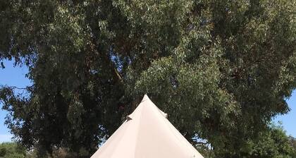 Glamping Tent in a farm with lots of pets