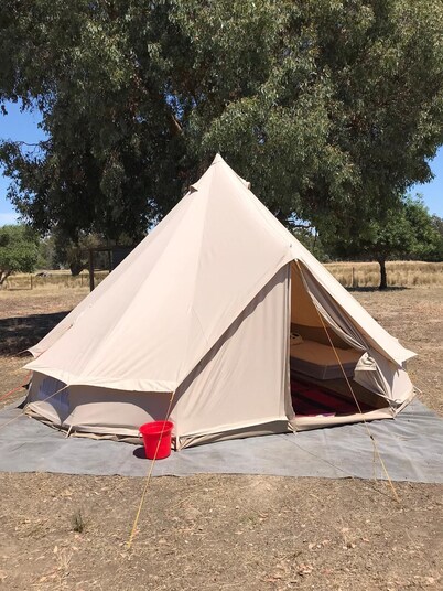 Glamping Tent in a farm with lots of pets