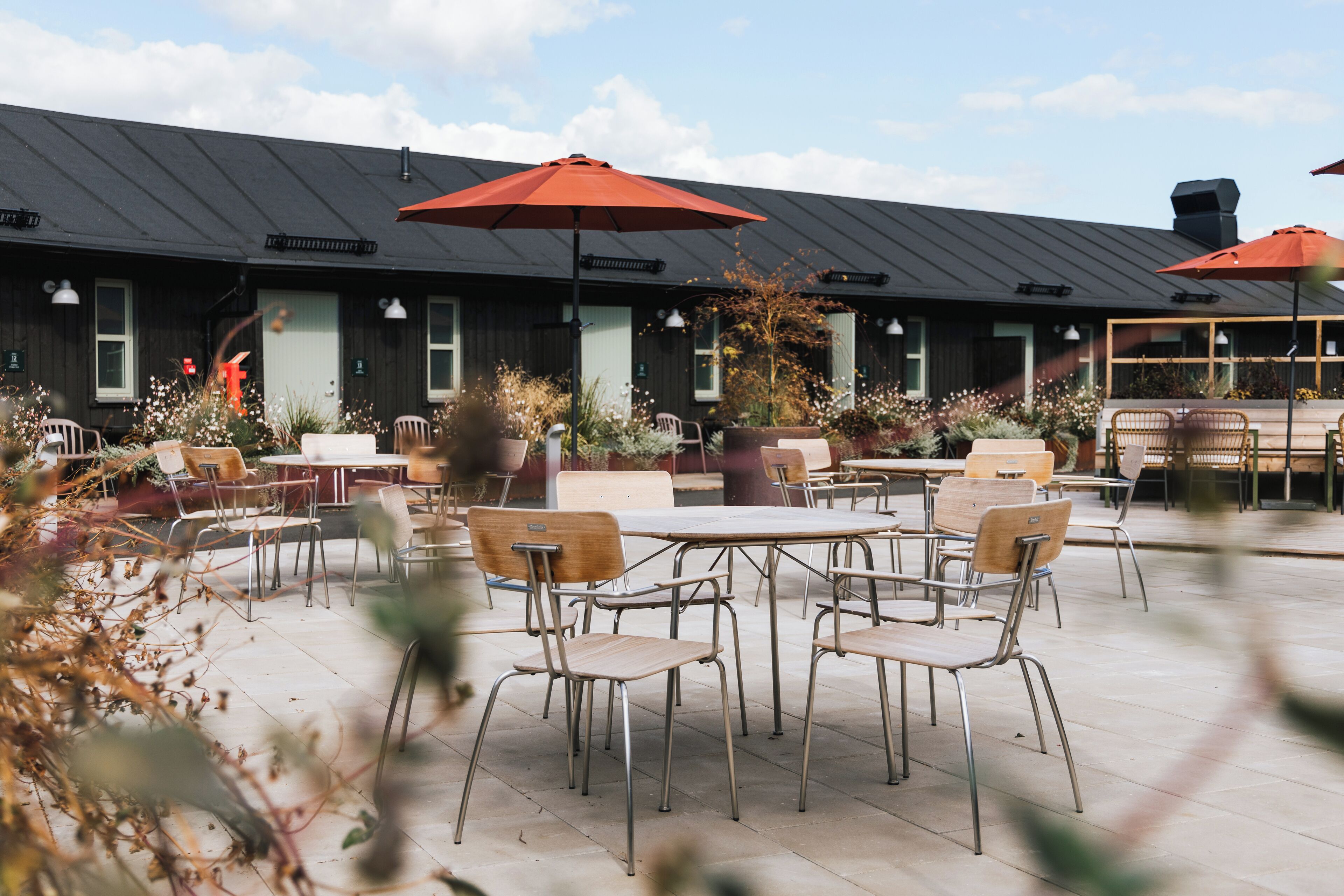 An outdoor patio area with tables and chairs, surrounded by potted plants and umbrellas.