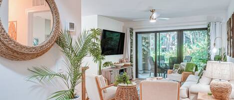 TV, DVD player, books