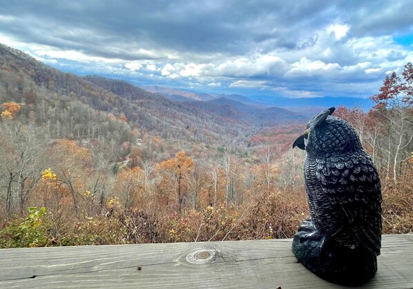 A sculpture of a bear on a wooden platform overlooking a mountainous landscape with autumn foliage. - Sunset Ridge Lodge - Sunset Ridge Lodge - Breathtaking mountain views and (Bryson City)