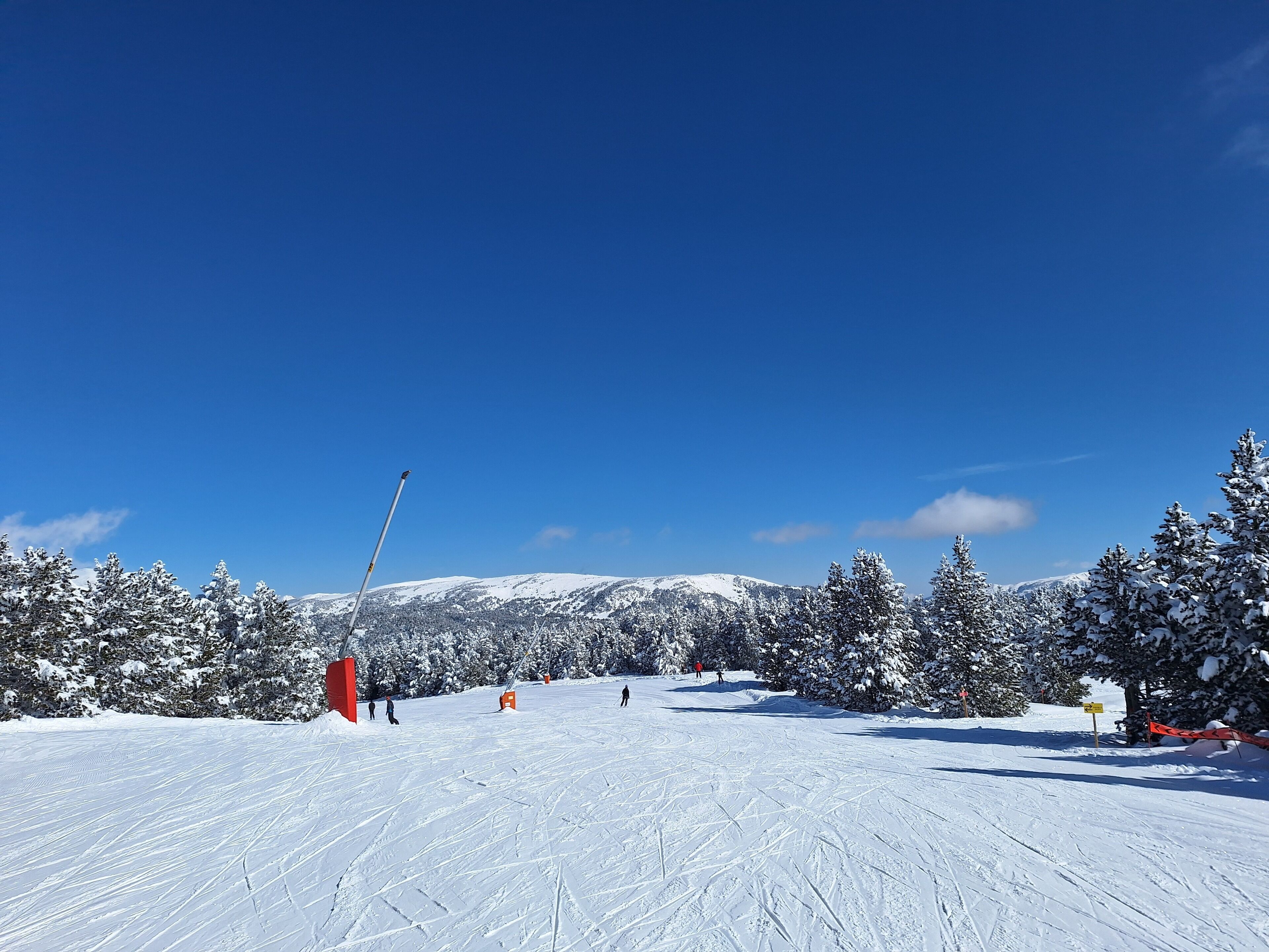 Pista da sci innevata con cielo azzurro, alberi e una seggiovia.
