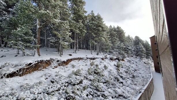A snowy forest landscape with a wooden structure partially visible on the right.