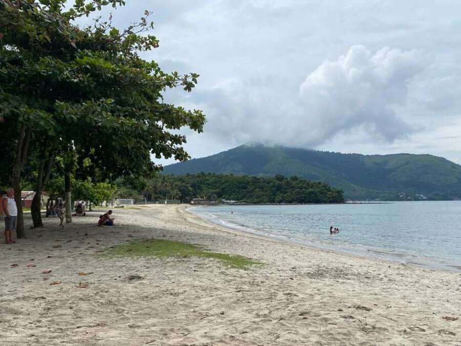 Una playa con arena, árboles y una montaña al fondo.