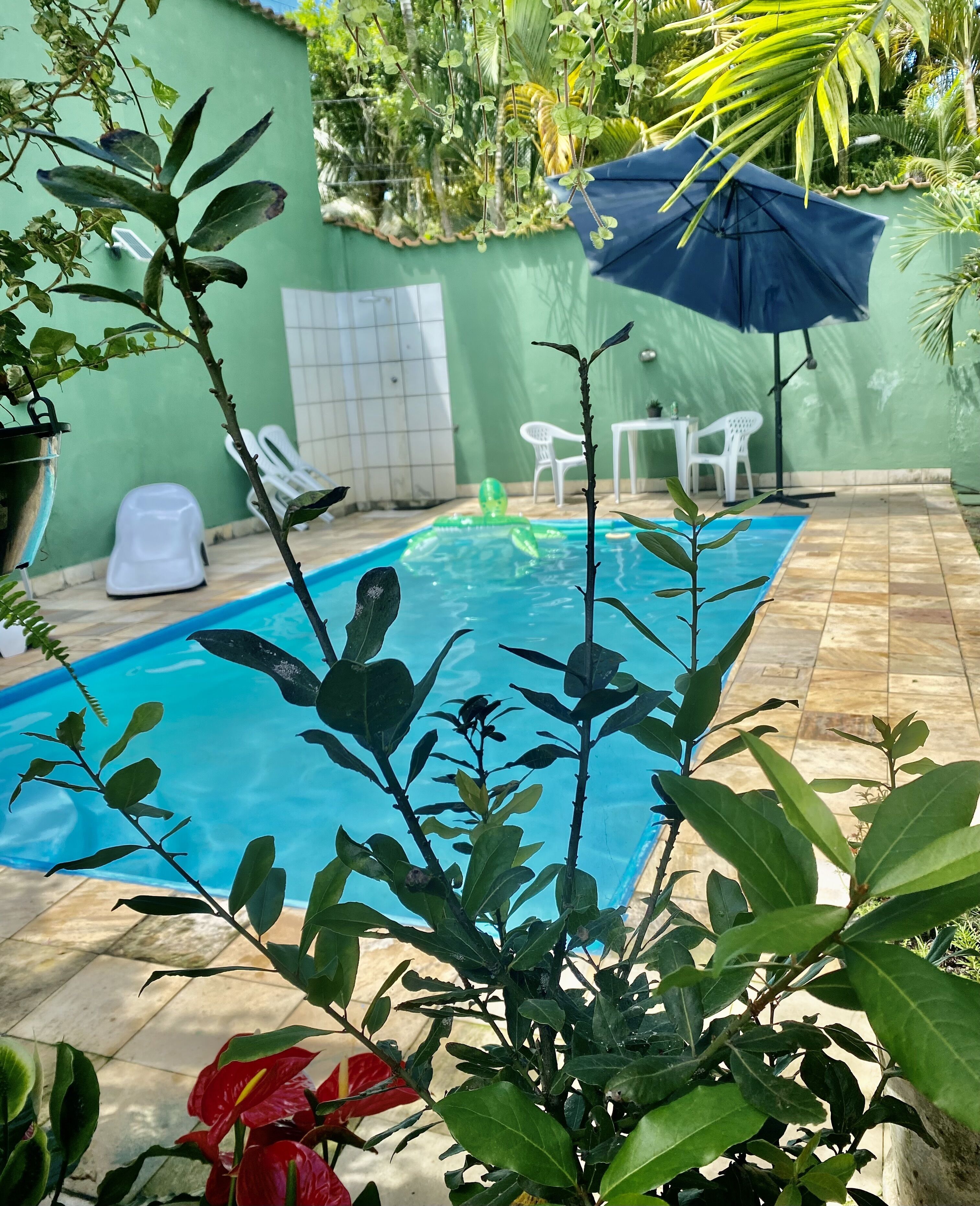 Una piscina circondata dal verde, un patio piastrellato e un muro ricoperto di piante.
