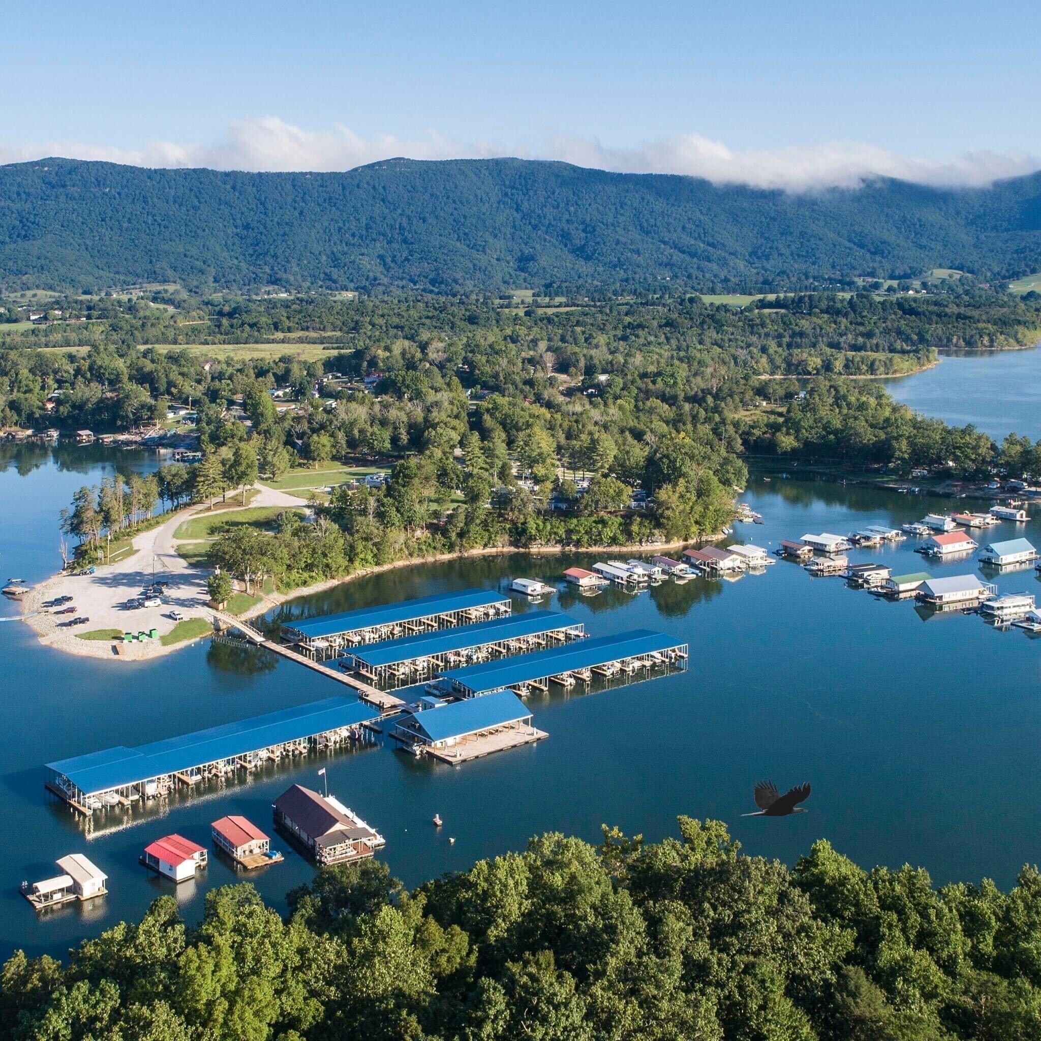 Powell Valley Marina within walking distance 
