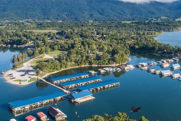 Powell Valley Marina within walking distance