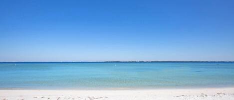 بالقرب من الشاطئ