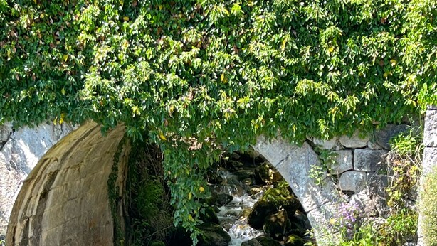 Eine Steinbrücke über einen Bach mit hölzernem Geländer, umgeben von Grünpflanzen und einer Steinmauer.