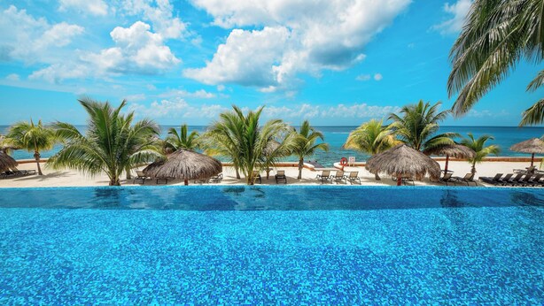 A clear blue pool with a view of the ocean and palm trees.