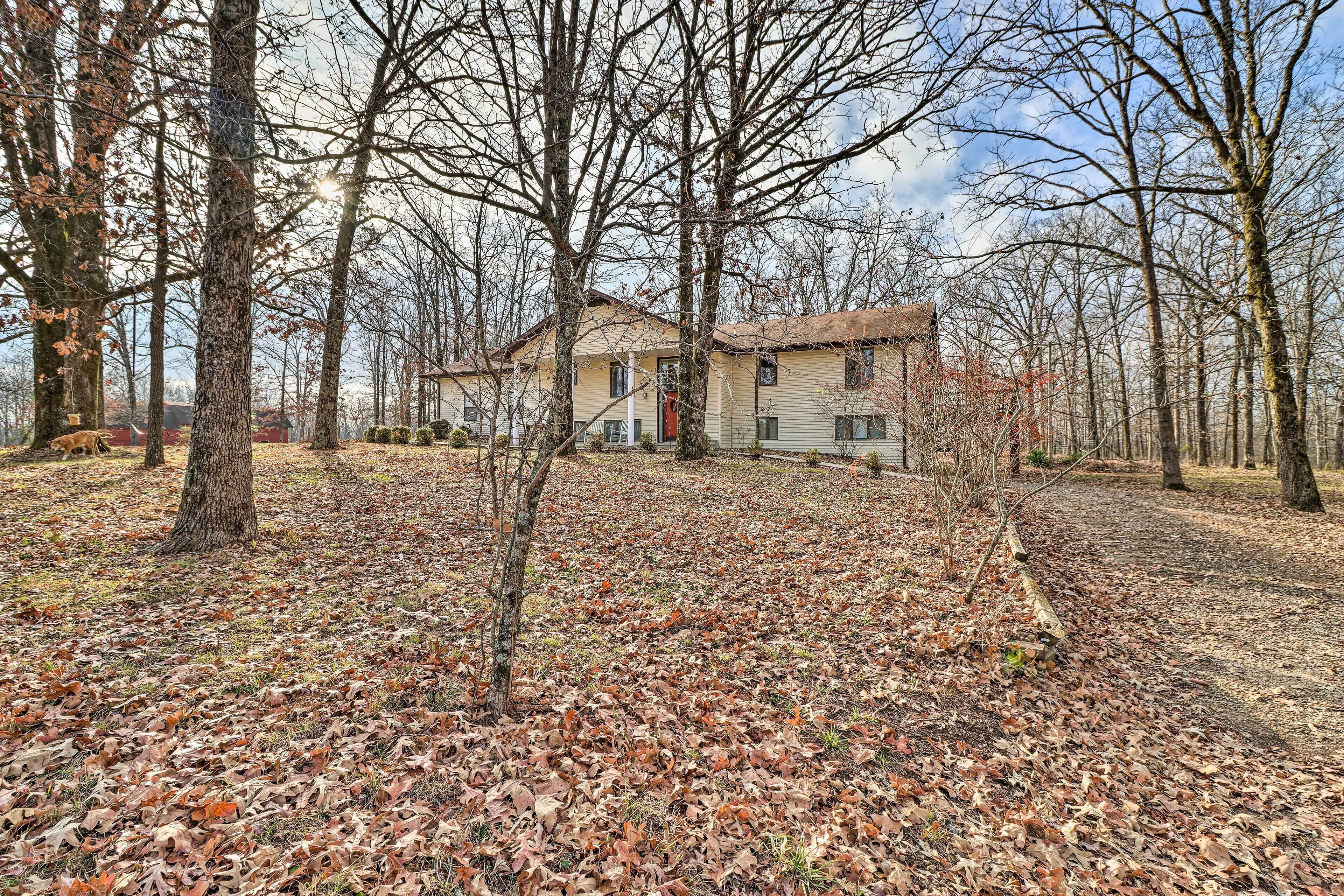 A house surrounded by trees with a leaf-covered ground.
