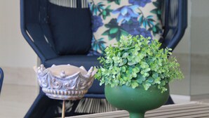 Une chaise avec un coussin à motifs floraux, une plante verte dans un pot et un bol décoratif posé sur une table.