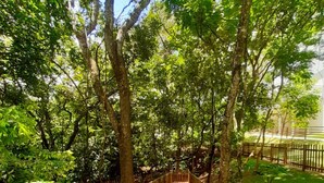 Un sentier en bois, bordé d’arbres et d’une clôture, qui traverse un parc.