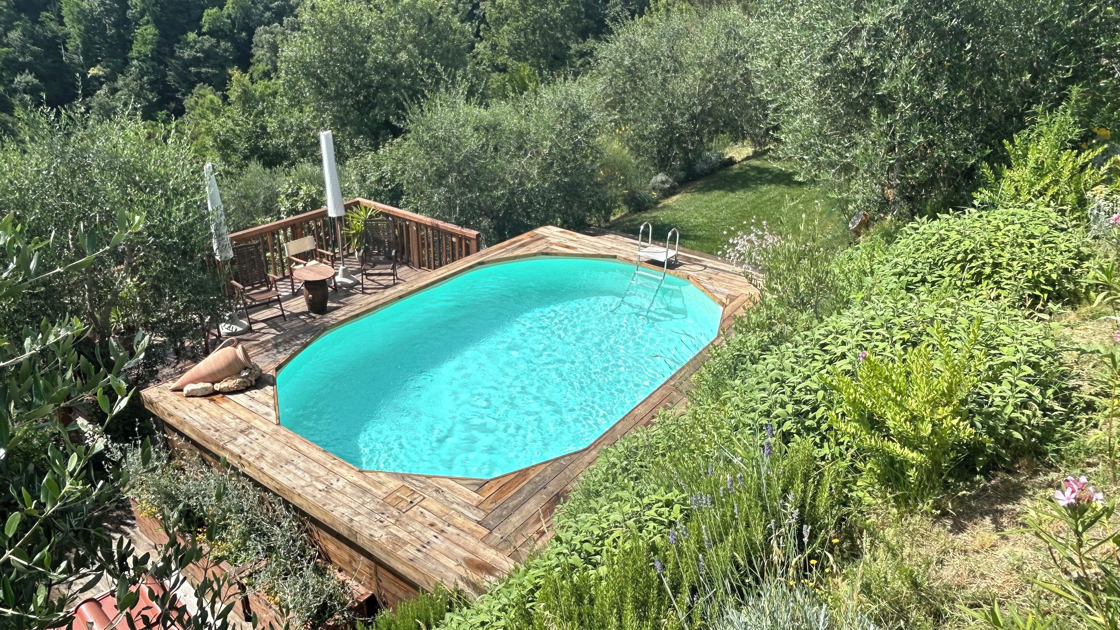 A rectangular pool with a wooden deck, surrounded by lush greenery.