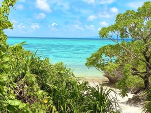 Beach - Twin room   Morning and evening with two mea / Ishigaki Okinawa (Ishigaki)